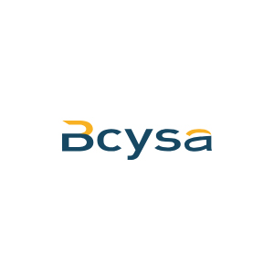Bcysa - Top Transmission and Distribution Services Providers in Latin America Bcysa
