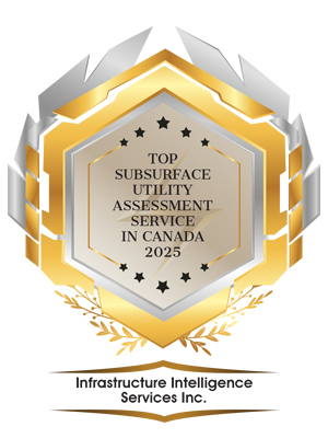 Top Subsurface Utility Assessment Service 2025