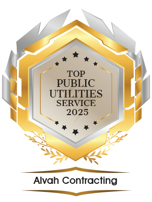 Top Public Utilities Service 2025